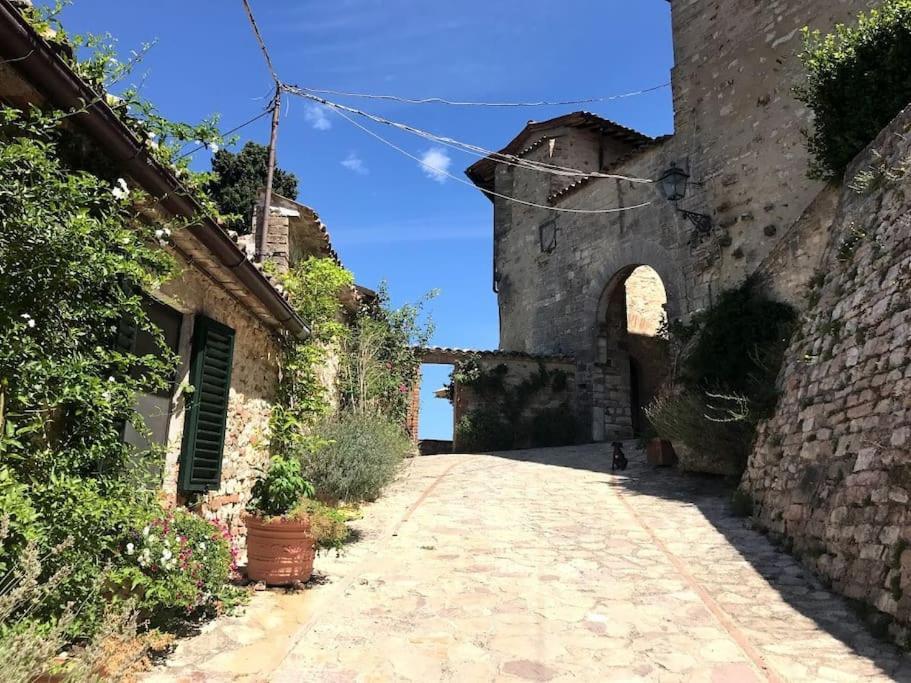Готель Il Borgo Di Olive Sismano Екстер'єр фото
