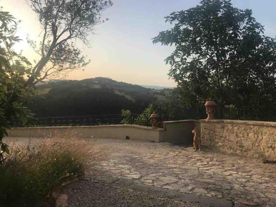 Готель Il Borgo Di Olive Sismano Екстер'єр фото