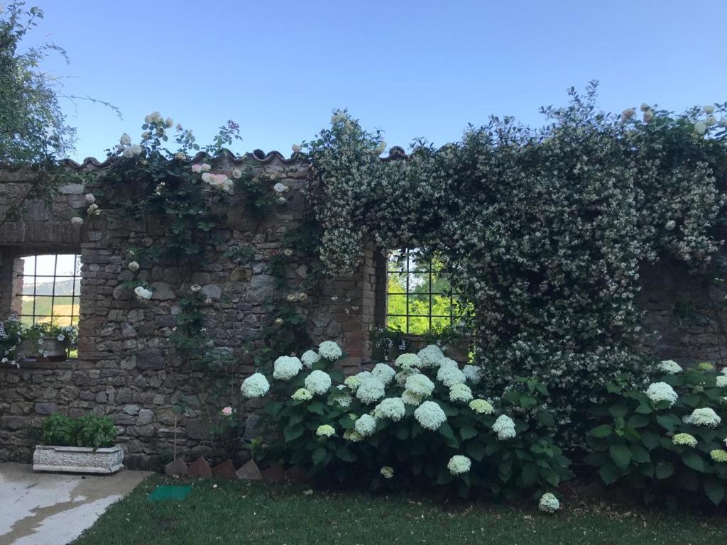 Готель Il Borgo Di Olive Sismano Екстер'єр фото