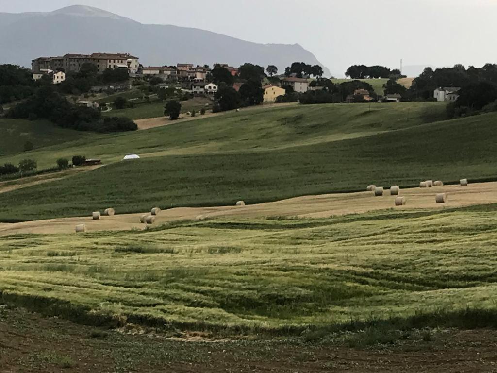 Готель Il Borgo Di Olive Sismano Екстер'єр фото
