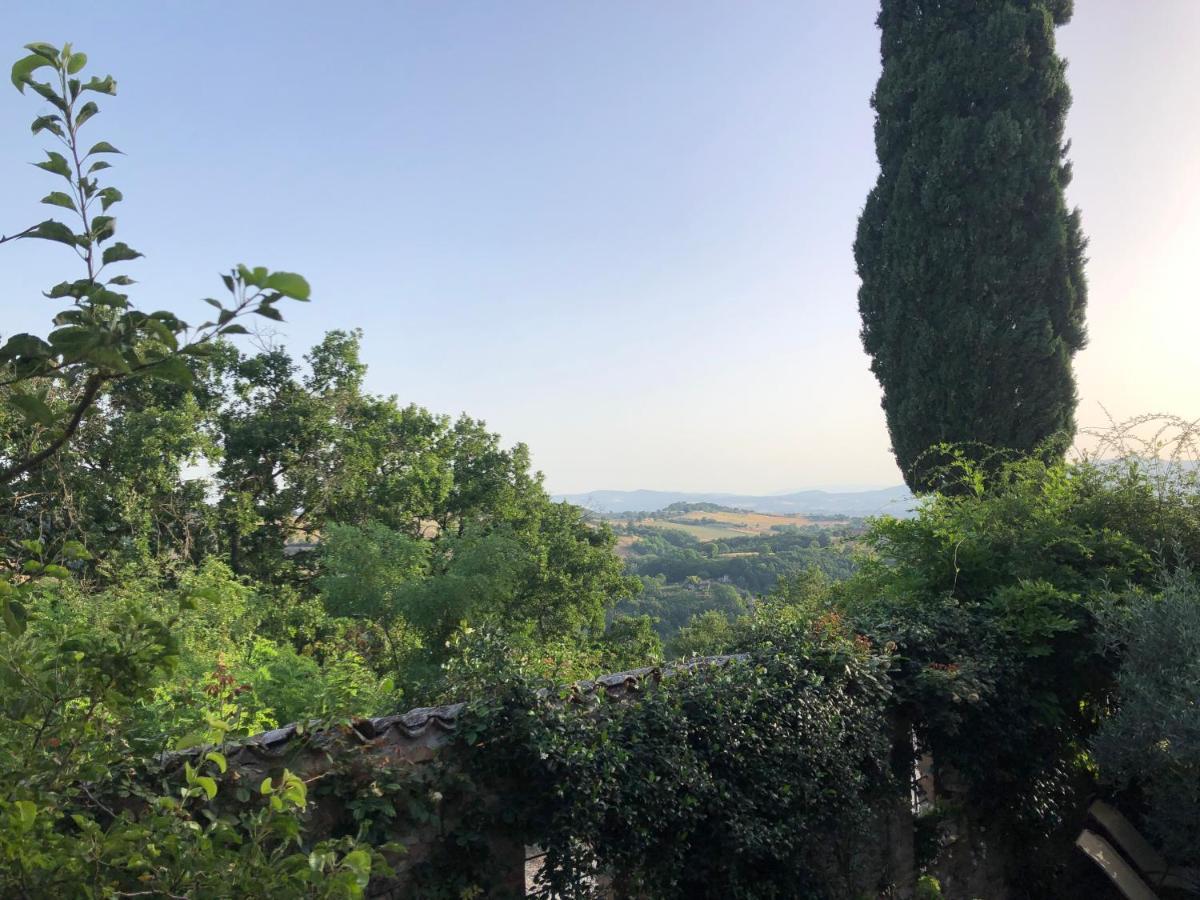 Готель Il Borgo Di Olive Sismano Екстер'єр фото