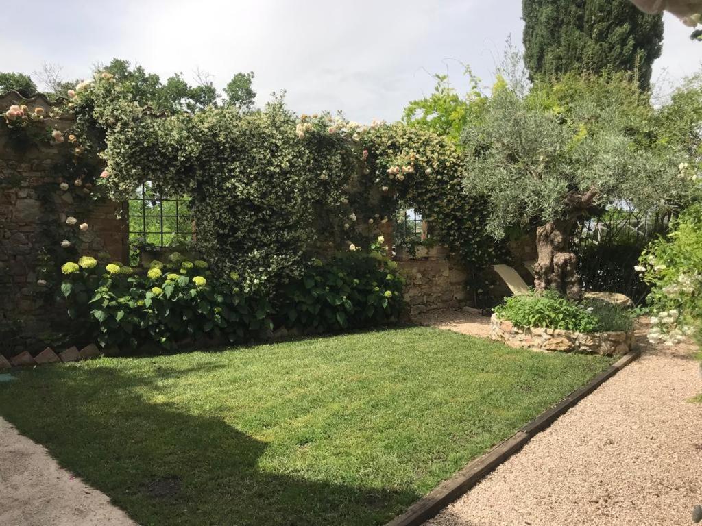 Готель Il Borgo Di Olive Sismano Екстер'єр фото