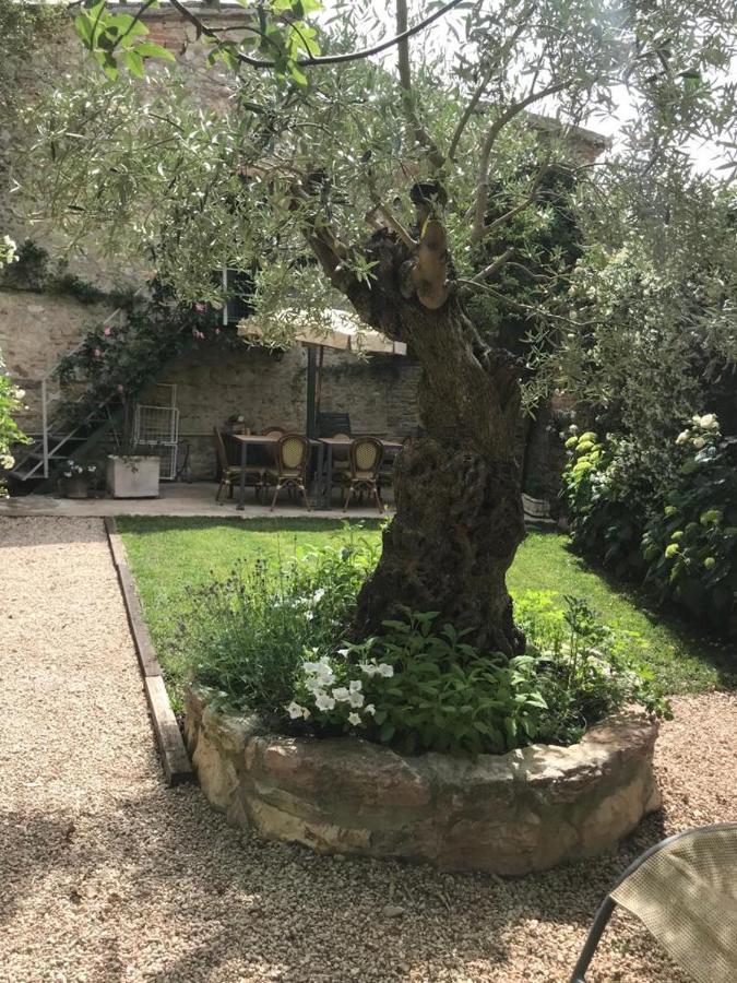 Готель Il Borgo Di Olive Sismano Екстер'єр фото
